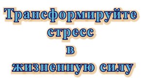 4 Медитация. Трансформируйте стресс в жизненную силу.