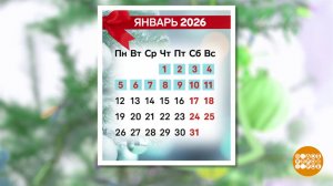 Новогодние каникулы: пора готовиться... Доброе утро. Фрагмент выпуска от 16.10.2025