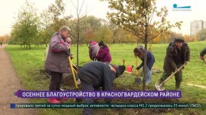 В парке Малиновка высадили деревья