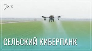 Киберфермы с дронами начнут появляться в Забайкалье