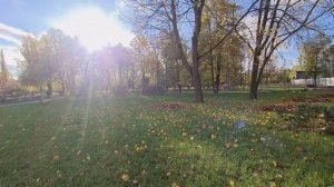 Осенний Питер