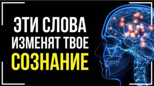 Вадим Зеланд - Как Вырваться из Нищеты и стать БОГАТЫМ! Смотреть Всем!