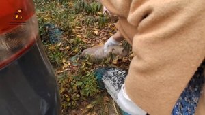 Наш копирайтер Рита спасает котят!