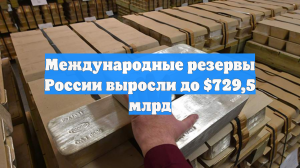 Международные резервы России выросли до $729,5 млрд