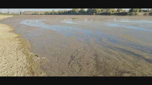 Ряска на воде клёва не будет