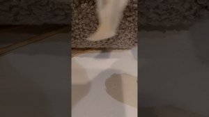 распаковка ise ise