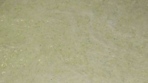 Рулетики из кабачков с грибами