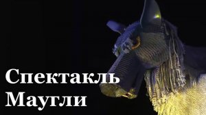 В Луганском кукольном театре состоится премьера спектакля "Маугли"