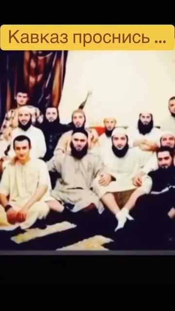 Метаморфоза горцев. смотреть онлайн