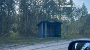 Кологрив_Варзенга_Бурдово_Шаблово_