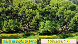 Red Magic 8 Pro vs. iPhone 14 — сравнение камер | 4K, Ультраширик, Стабилизация, Зум, Ночной режим