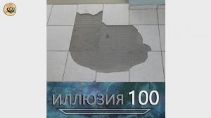 НАЙДИ КОТА ｜ МЕМОЛОГИЯ #1