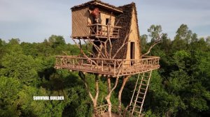 Построили дом из бамбука своими руками