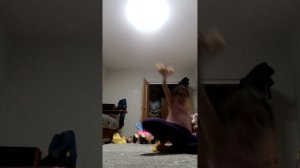 VID_20251016_194949.mp4