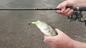 Видеообзор спиннинга Kosadaka Sentinel SSTN-275MH