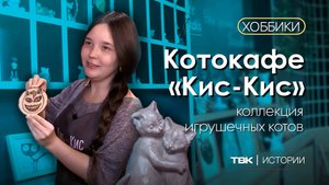 Коллекция игрушечных котов в котокафе «Кис-Кис» / «Хоббики»