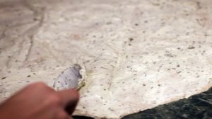 Рулетики из плавленого сыра