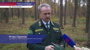 Сотрудники регионального Минлесхоза выявили десятки незаконных случаев рубки леса
