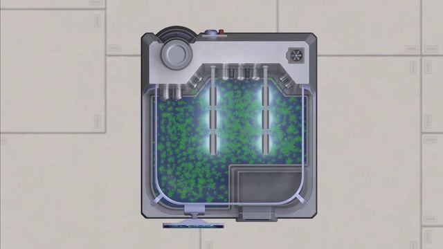 Выращивание пшеницы🌱 в модуле Гидропоника