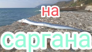 РЫБАЛКА НА САРГАНА В ЧЕРНОМ МОРЕ НА БОМБАРДУ.