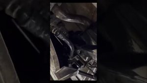 Лексус и китайская одноразовый ширпотреб