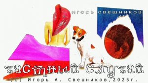 Игорь Свешников - Частный случай