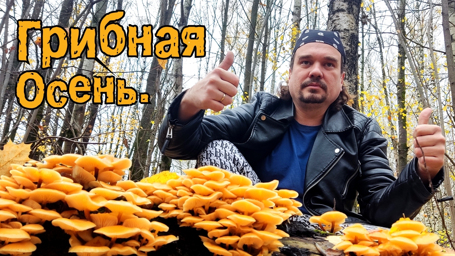 Грибная осень. 16.10.2025 смотреть онлайн