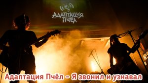 Адаптация Пчёл - Я звонил и узнавал