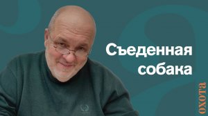 Съеденная собака. Валерий Кузенков о том, поживился ли волк.