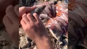 Видео от За Трофеем: Охота и Рыбалка
