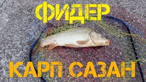 Рыбалка. Карп на фидер. Карась, Лещ в последние теплые дни. 13 октября 2025 г.