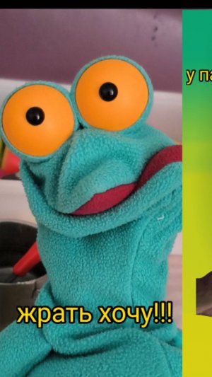 Урок биологии - чееек...