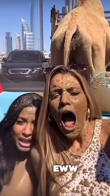 Вот это нежданчик ..