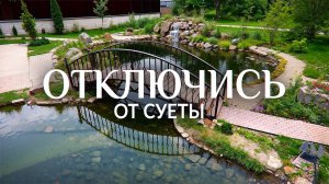 Успокаивающая музыка. 20 красивейших прудов Подмосковья | Пруд на участке