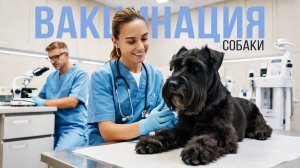 Вакцинация Собаки. Что есть на рынке вакцин с бешенством.