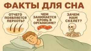 Факты для сна: Увлекательные и познавательные истории перед сном