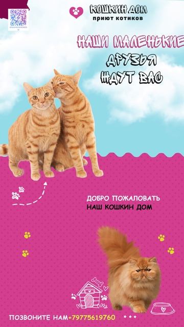 НашКошкинДом