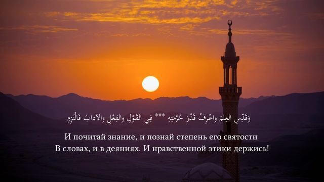 Достоинство знаний || Шейх Салих Синди смотреть онлайн