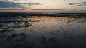 Сентябрь в заказнике «Светлинский»: прощаемся с пернатыми друзьями!