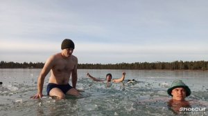 моржи Муравленко