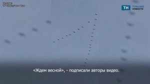 В преддверии зимних холодов журавли покидают Тульскую область