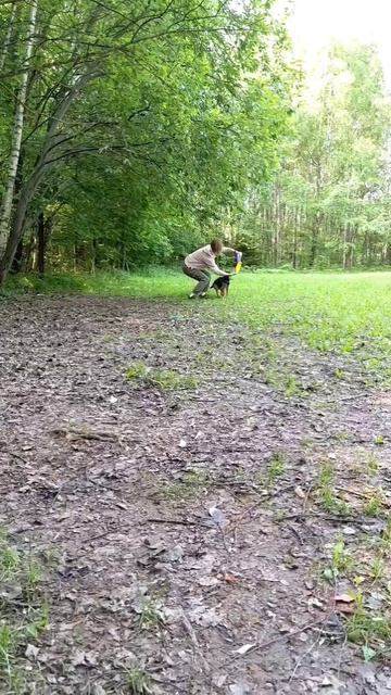 БТ Грэм - кольцо рук