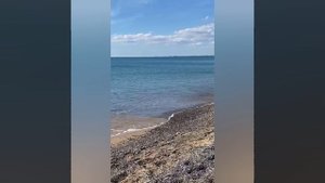 Любин отдых в санатории"Полтава"Крым г.Саки.Купаюсь в море-4.10.2025 год.