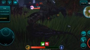 мего межвид