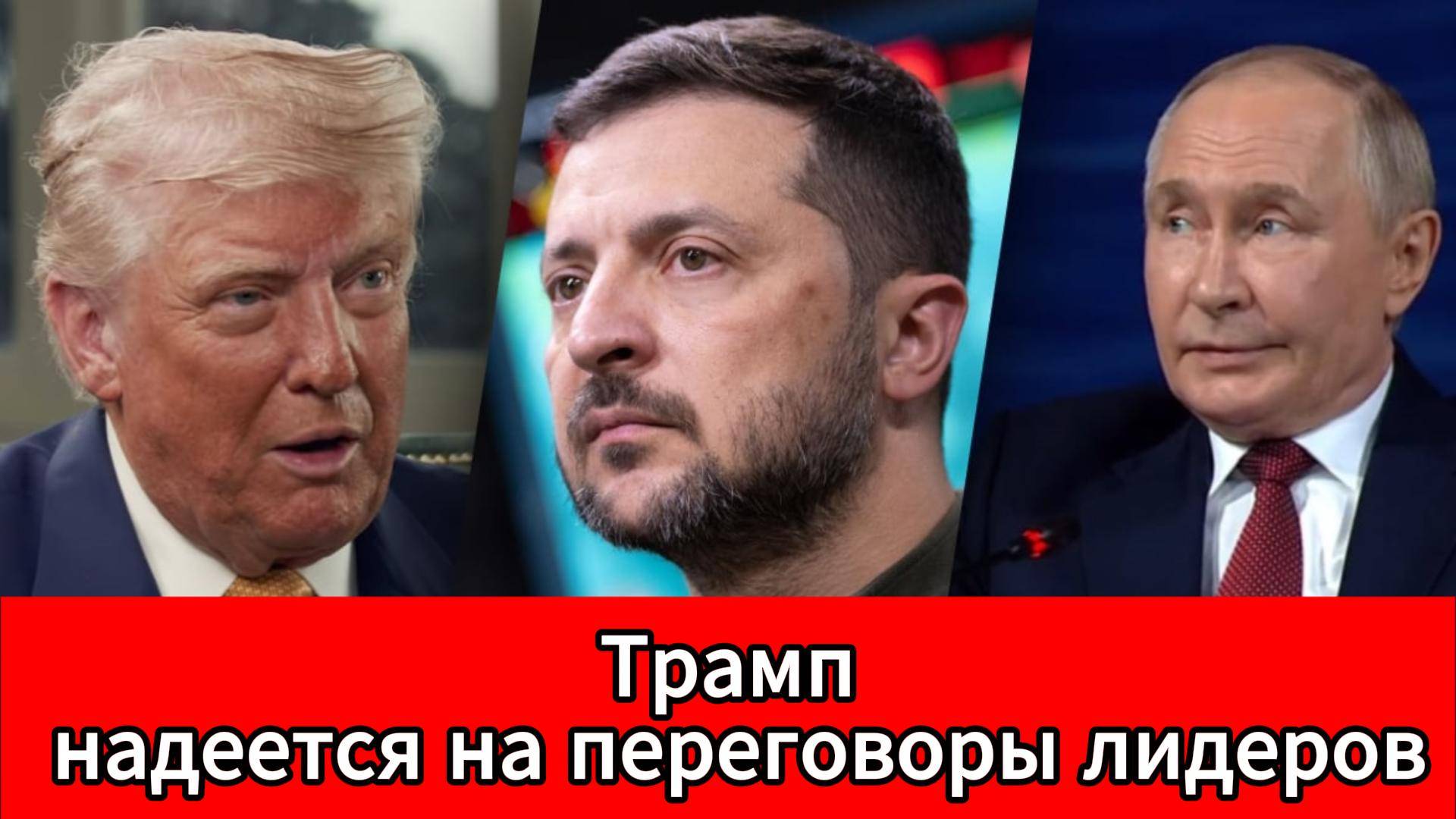 Трамп поддержал идею переговоров Путина и Зеленского