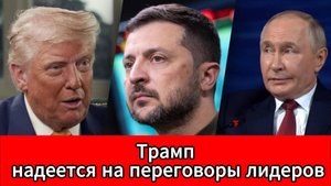 Трамп поддержал идею переговоров Путина и Зеленского