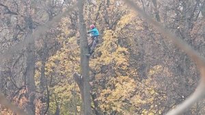 Все работы хороши