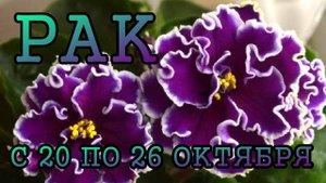 РАК таро прогноз на неделю с 20 по 26 ОКТЯБРЯ 2025 года.