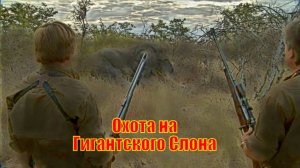 Сын Ветерана Джеффа Ранна, Джаред Охотится на Гигантского Слона