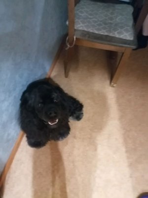 Делаю новую партия бумажного образования